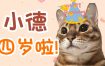 【陈一发儿】：世界上最可爱的小猫咪生日快乐~